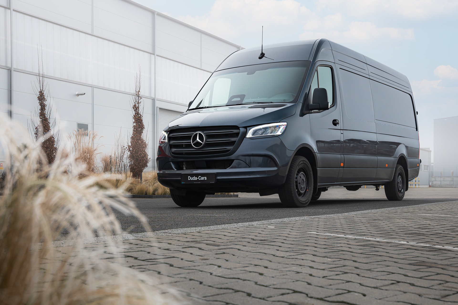 Sprinter